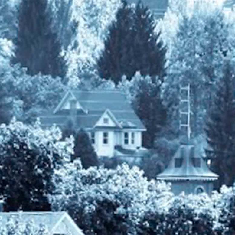 Snowy house in Nelson